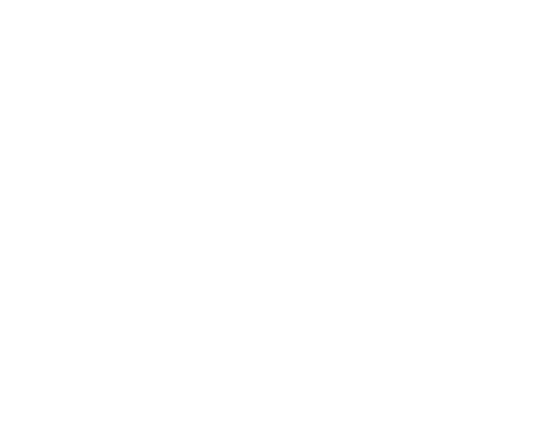 Logo shop Tartufi italia Felsinea Tartufi